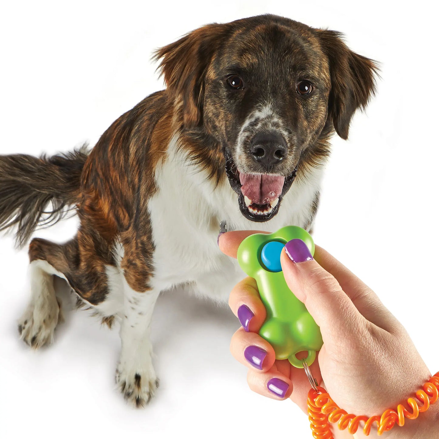 Brightkins Smarty Pooch Dog Training Clicker