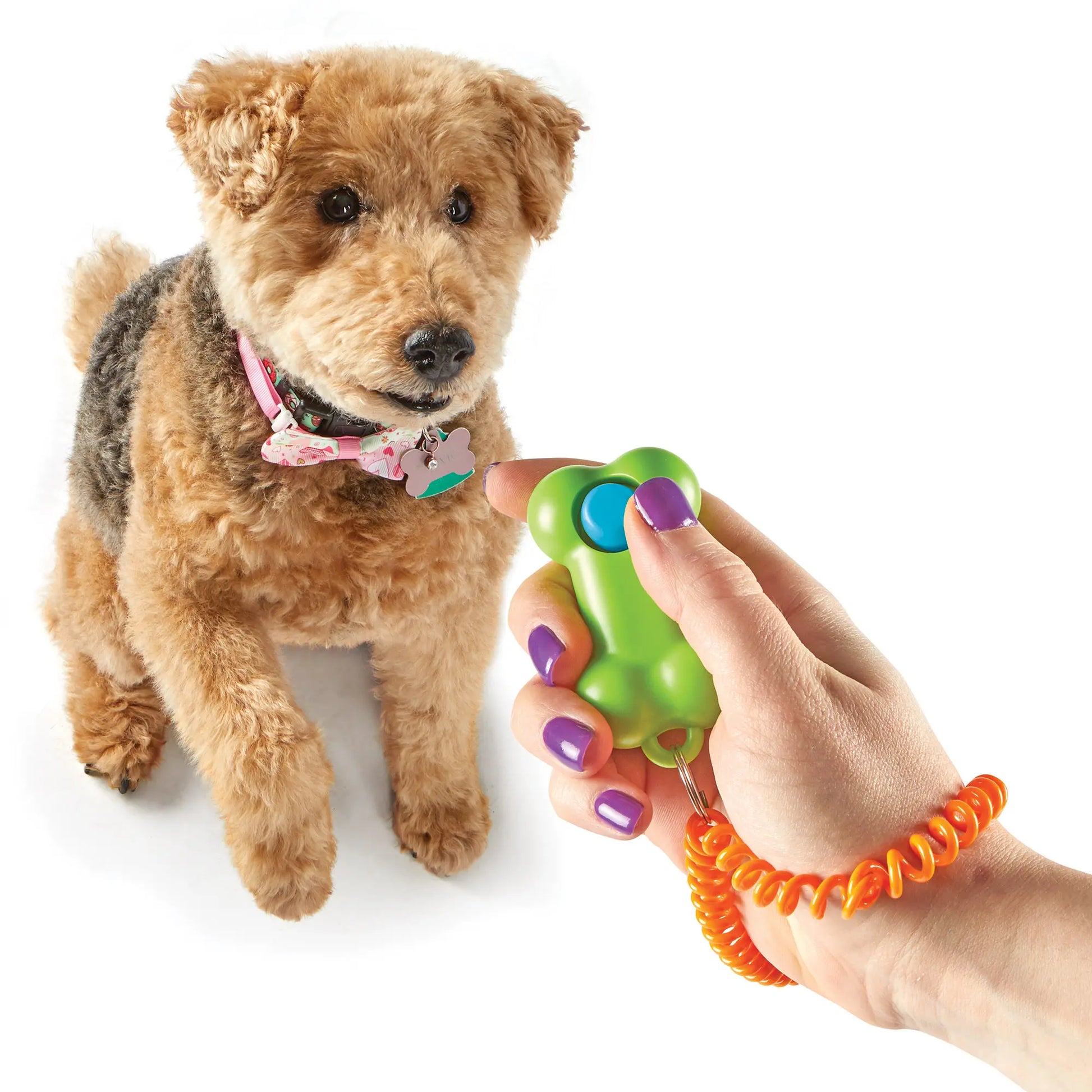 Brightkins Smarty Pooch Dog Training Clicker